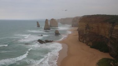 12 Havari ve kuş - Port Campbell Ulusal Parkı, Victoria, Avustralya