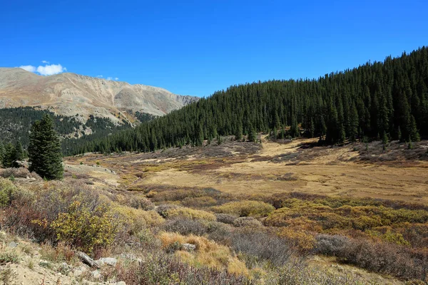 Vale Floresta Montanhas Rochosas Colorado — Fotografia de Stock