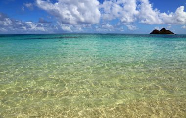 Lanikai 'de şnorkel - Oahu, Hawaii