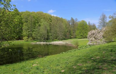 Gölde bahar - Bydgoszcz, Polonya yakınlarında Myslecinek
