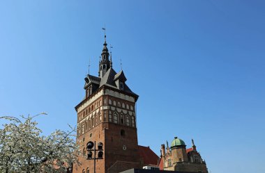 Çiçek açan ağaç ve Hapishane Kulesi - Gdansk, Polonya