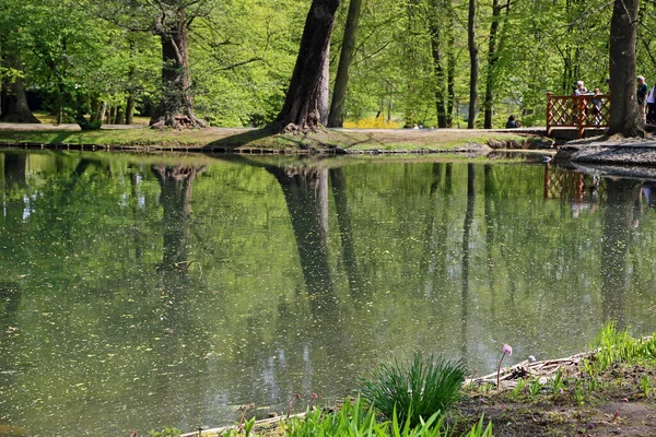 Jezírku Gdaňsk Oliwa Polsko — Stock fotografie