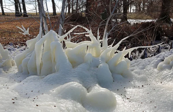 Γλυπτική Πάγου Reelfoot Lake State Park Τενεσί — Φωτογραφία Αρχείου