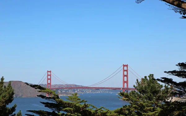 Golden Gate Bridge Trees San Francisco California — Stock Photo, Image