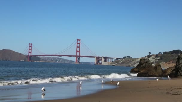 Baker Beach San Francisco Kalifornia — Stock videók
