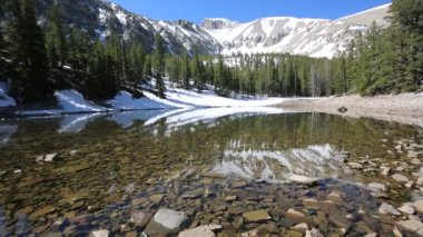 Büyük Havza Ulusal Parkı, Nevada