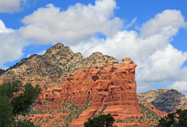 kahve pot kaya Önden Görünüm