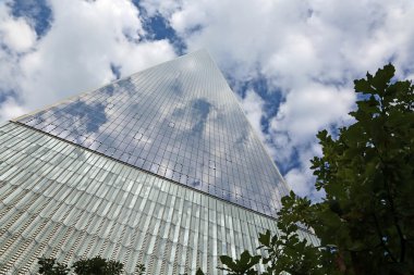 Özgürlük Kulesi ve ağaç