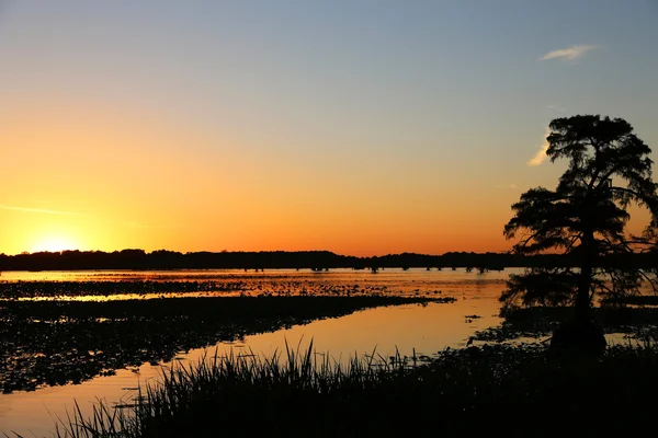 Захід сонця на Reelfoot озеро — стокове фото