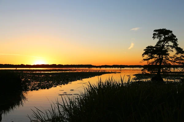 Reelfoot 湖上的日落 — 图库照片