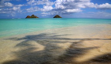 Lanikai Beach - ikiz adalar manzaraya - palmiye ağacının altından Oahu, Hawaii