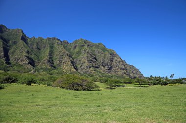 kualoa çiftliği