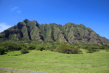 Yeşil Kualoa Ranch