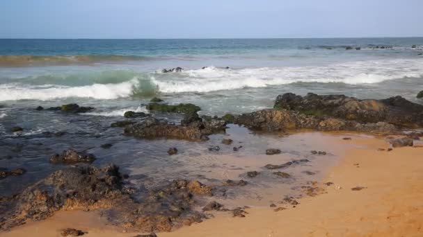 Parque da Praia Keawakapu — Vídeo de Stock