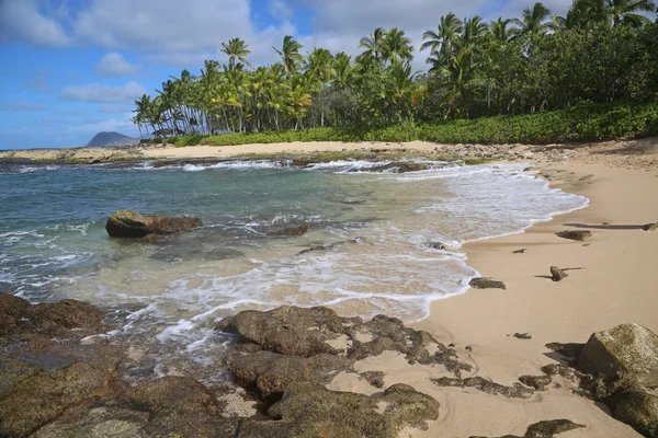 Wild coast West Oahu adasında — Stok fotoğraf