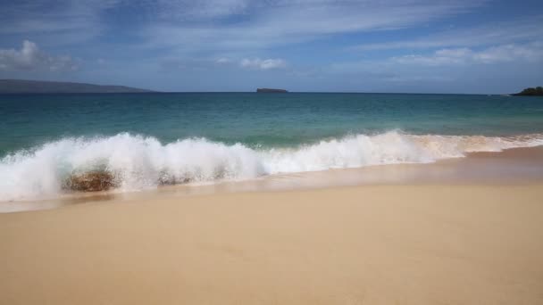 Les vagues de l'océan inondent la plage — Video