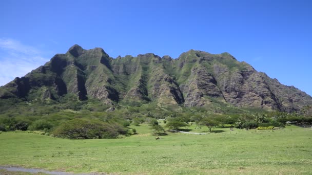 Meadow and cliffs of Kualoa Ranch — Stock Video