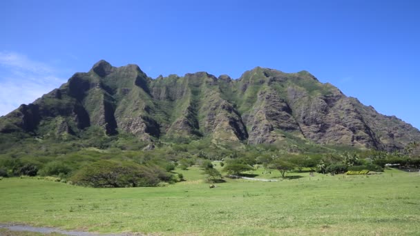 Prairie et falaises du ranch Kualoa 