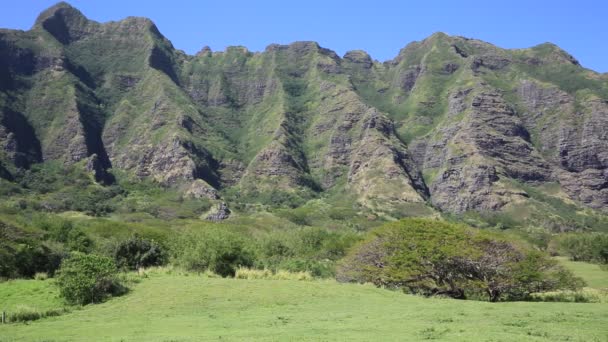 Cliff sul do rancho de Kualoa — Vídeo de Stock