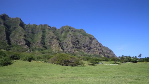 East cliff of Kualoa Ranch — Stock Video