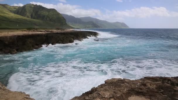 Parque de estado Kaena point — Vídeo de Stock