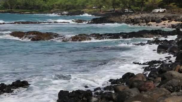 Steniga stranden av Ahihi-Kinau reserv — Stockvideo