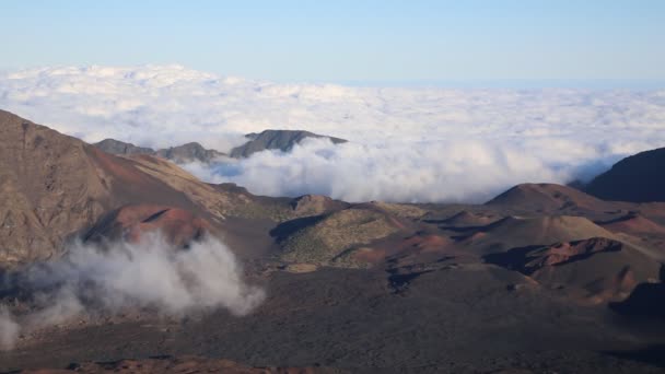 Sea of clouds in Haleakala NP — Stock Video