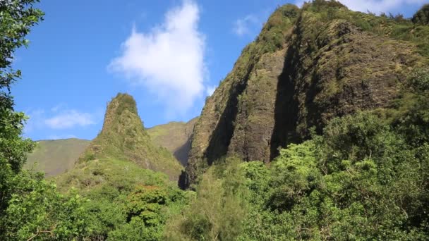 Iao 针 — 图库视频影像