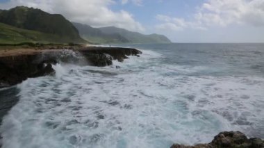 Ka'ena Point Sp