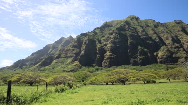 Kualoa 牧场东南悬崖 — 图库视频影像