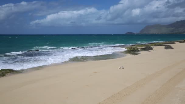 Praia de Ma 'ili — Vídeo de Stock