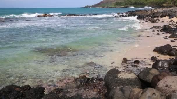 Costa da Reserva Ahihi-Kinau — Vídeo de Stock