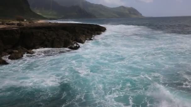 Turkosa vågor i Ka'ena Point Sp — Stockvideo