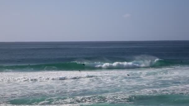 Sörfçüler ve dalgalar — Stok video