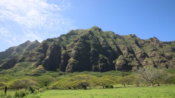 Falaises orientales du ranch Kualoa 