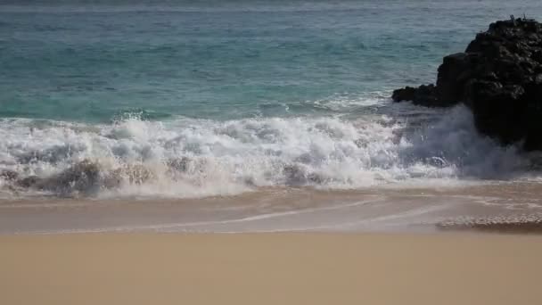 Κύματα στην παραλία Makapuu — Αρχείο Βίντεο