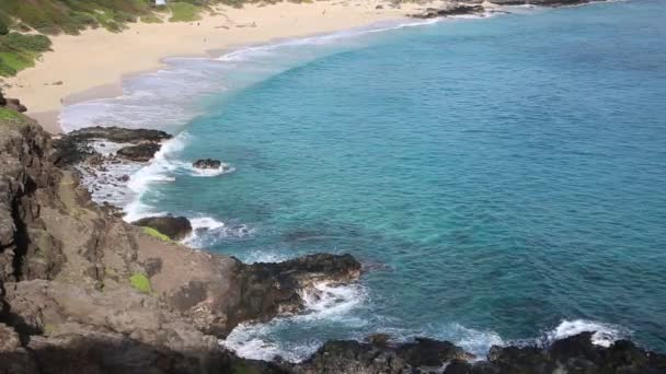Пляж Макапуу — стоковое видео