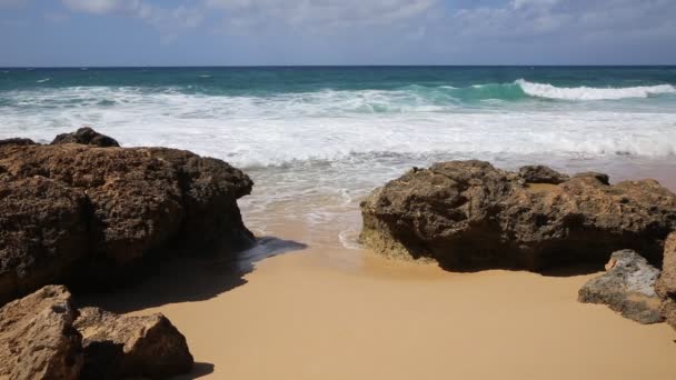 Rocce vulcaniche sulla spiaggia di Kea'au — Video Stock