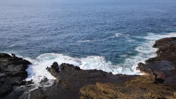 Volkanik Doğu sahil Oahu adasında — Stok video