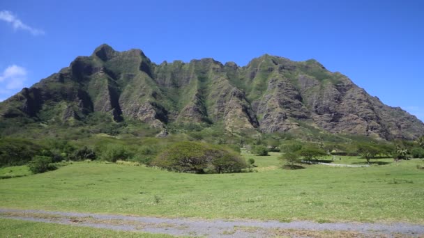 Kualoa Ranch — Stock Video