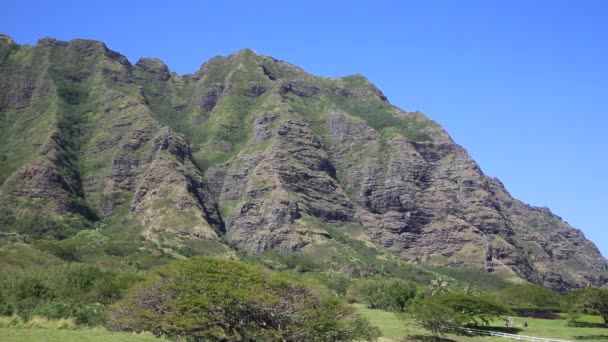 Kualoa 牧场的东峭壁 — 图库视频影像