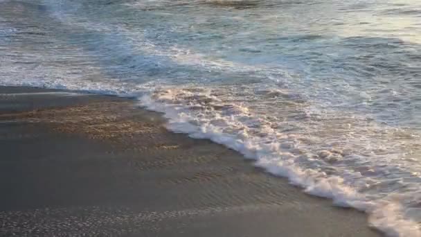 Волны Тихого океана — стоковое видео