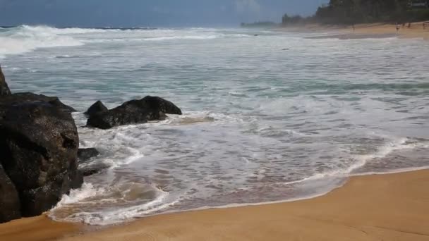 Playa del atardecer — Vídeo de stock