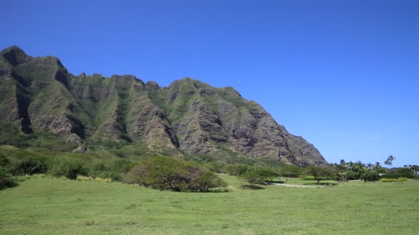 East cliffs of Kualoa Ranch — Stock Video