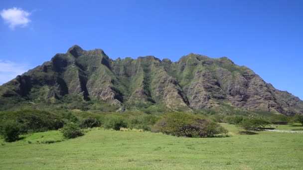 Rancho Kualoa — Vídeo de Stock