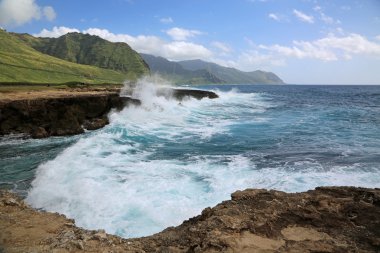 Dalgalar Kaena noktası devlet parkı - Oahu, Hawaii'kırma