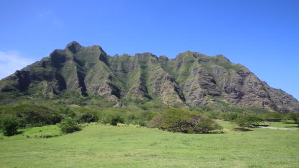 Rancho Kualoa — Vídeo de Stock