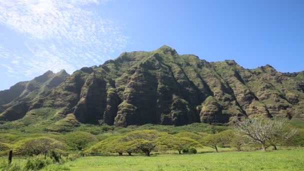 Rancho Kualoa Leste — Vídeo de Stock