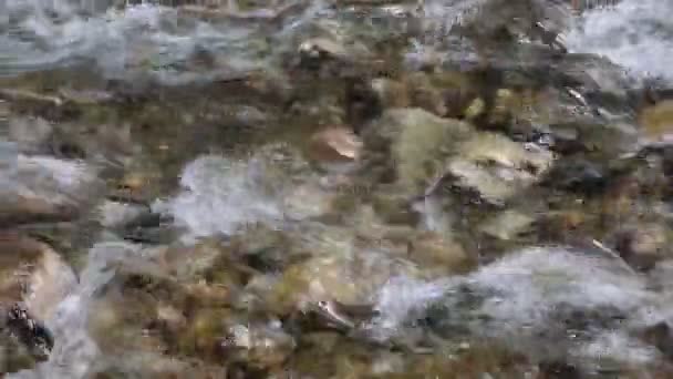 流动的水 — 图库视频影像