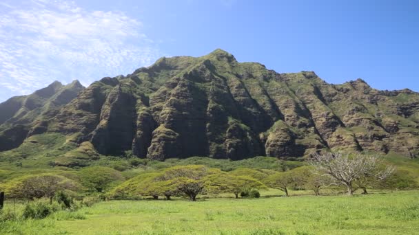 Lado leste do Rancho Kualoa — Vídeo de Stock